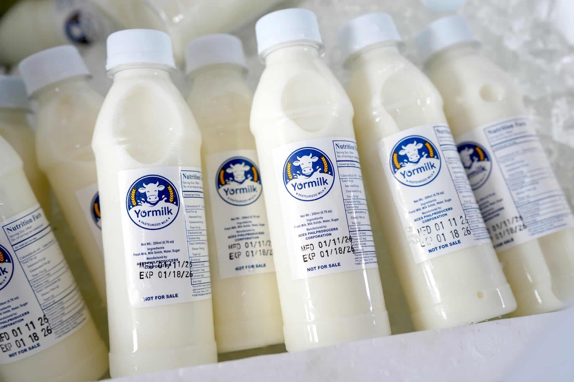 Manila's Yormilk Program: Tackling Child Malnutrition