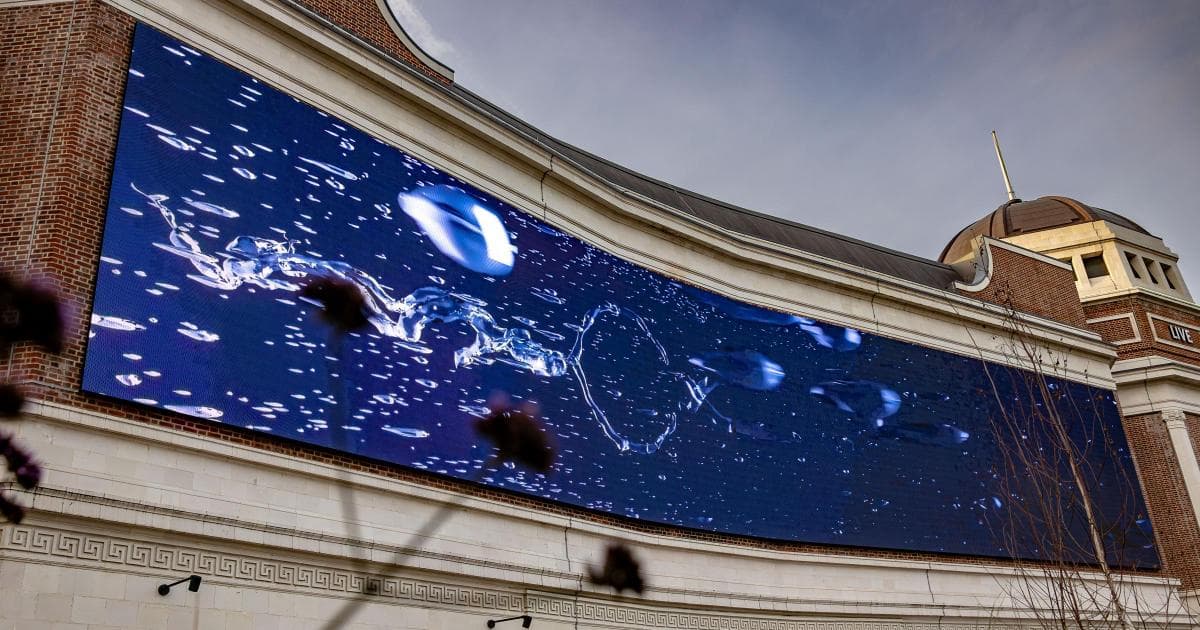 Bradford's Cultural Victory Shows Unity Conquers Division