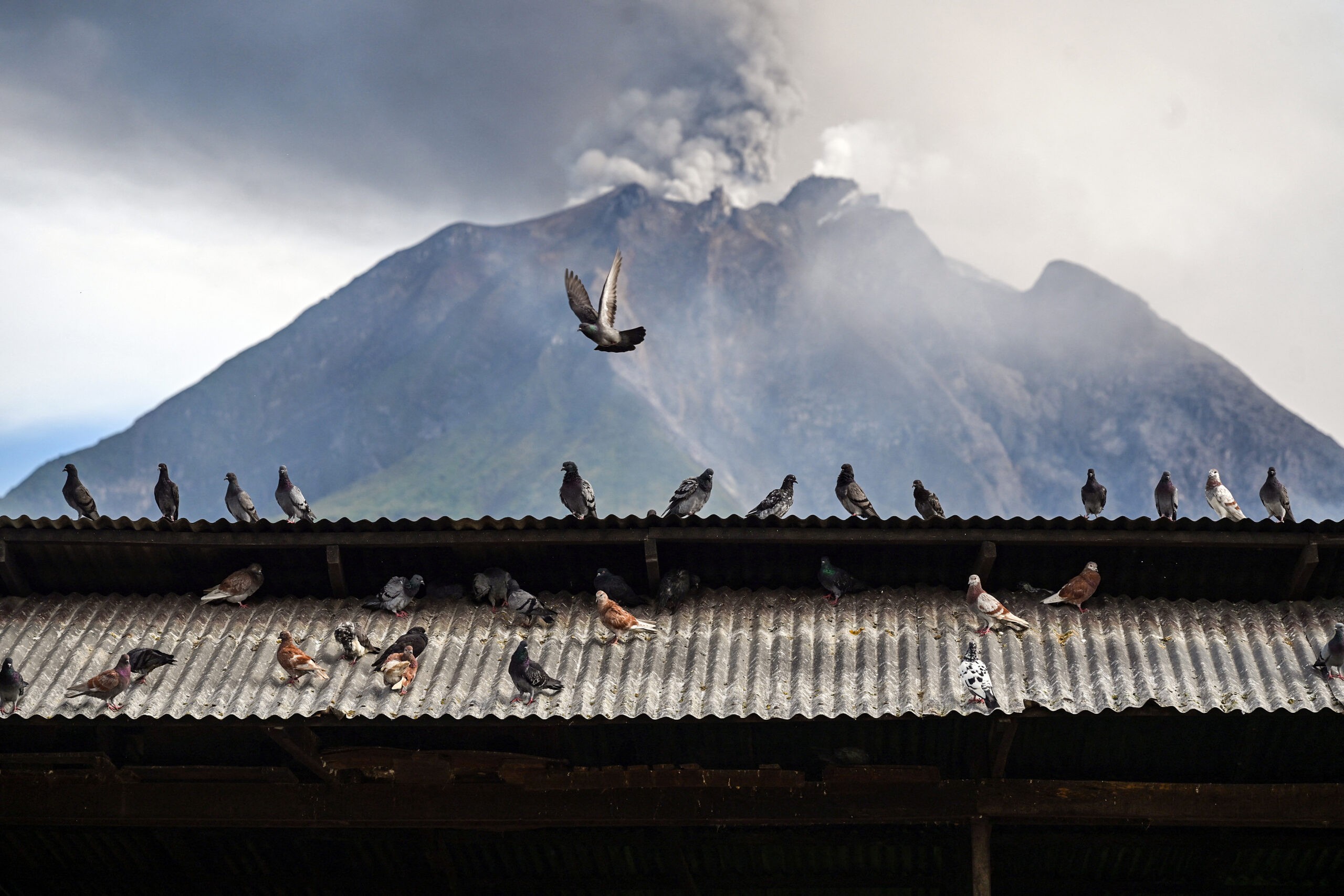 Anak Krakatoa eruption grounds flights, strands thousands in Indonesia