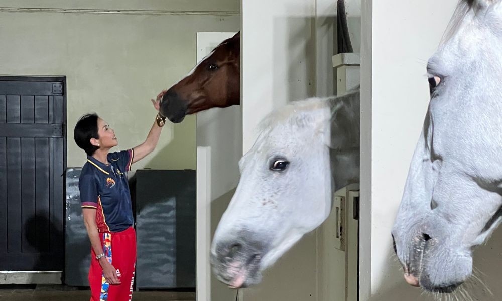 Filipina doctor heals horses by listening, not commanding